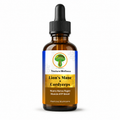 Lion’s Mane + Cordyceps: Clarity & Energy Powerhouse